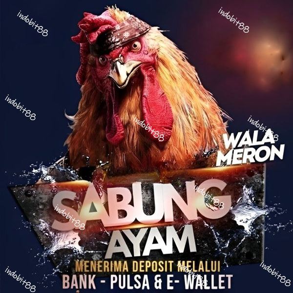 SV388 ⚡️ Link Resmi Laga Sabung Ayam Online No 1 Terbaik Server Luar Negeri